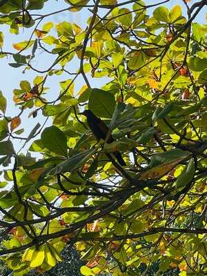 Casa T'ho Concept House