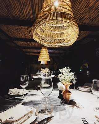 Beluga Cdmx Reservaciones