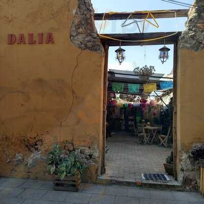 Dalia Mercado Cultural