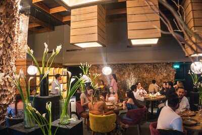 María Raíz Y Tierra