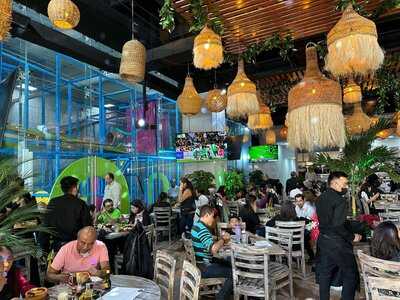 Del Pingo Al Tango Gran Terraza Coapa