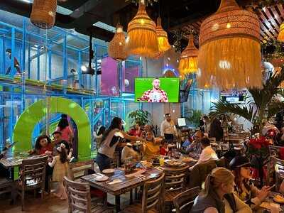 Del Pingo Al Tango Gran Terraza Coapa