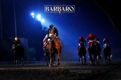 Barbaro Club House