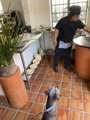 Lolaila Bistro Local