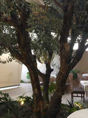 Chios Cocina Mediterránea