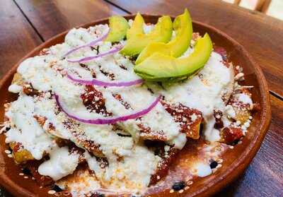 Señorita Birria Grill & Garden Bar