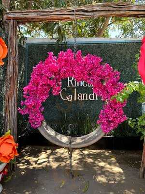 Rincón Calandria Mx