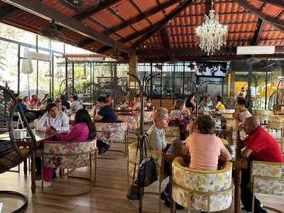 Rincón Calandria Mx