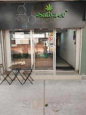 Sativa 4u Condesa