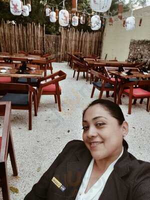 Kuran Japonesa & Oriental