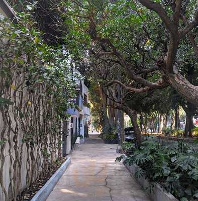 The Treehouse Restaurante