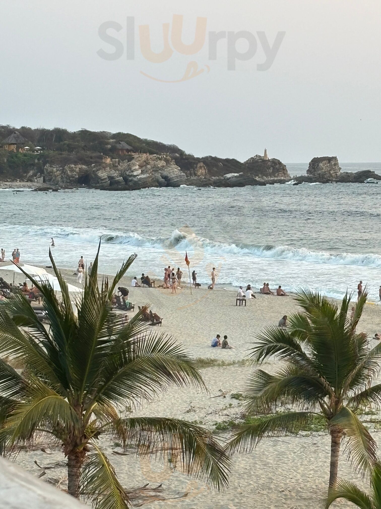Punta Vida