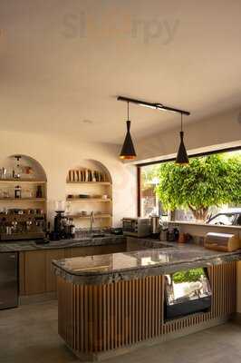 Gema Café | Barra De Especialidad