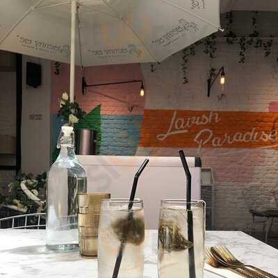 Lavish Fusion Bakery