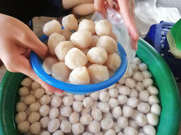 Yong Peng Fish Balls