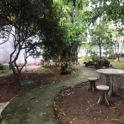 The Woods Second Hand Book Store And Cafe