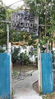 The Woods Second Hand Book Store And Cafe