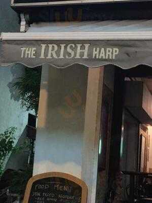 The Irish Harp
