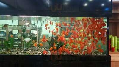 Cocoville Coconut Sreamboat Restaurant