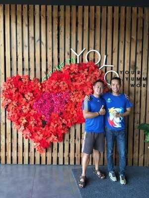 Yoyou Your Yummy World