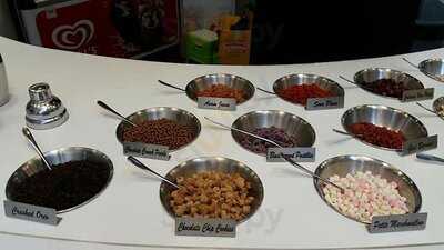 Magnum Gurney Paragon