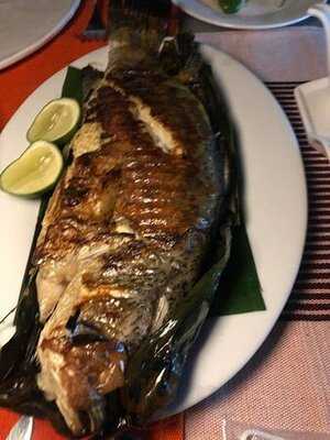 Rimba At Ambong Pool Villas