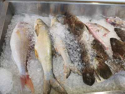 Fresh Restoran Kari Segar