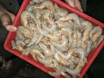 Kim Kee Seafood Porridge Restaurant