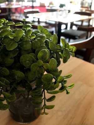 Empty Cup Coffee House