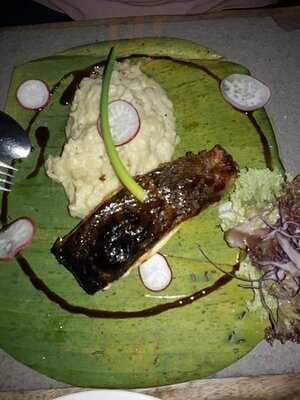 Naughty Nuri's Life Centre