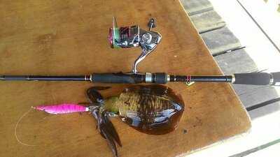 Kudat Seafood Restaurant