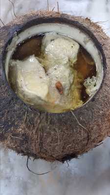 Keong Kee Herbal Soup