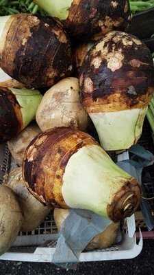 Bangsar Baru Pasar Malam