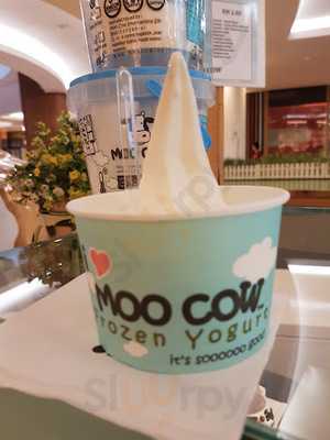 Moo Cow Frozen Yogurt