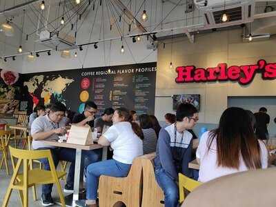 Harley's Burgers And Fried Chicken