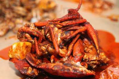 Shell Out Seafood Restaurant