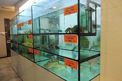 Dao Xiang Chinese Cuisine Restaurant