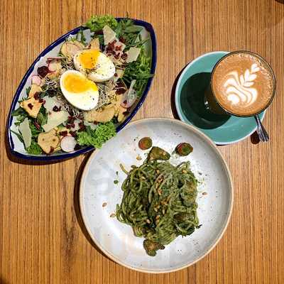 Midorie X The Owls Cafe