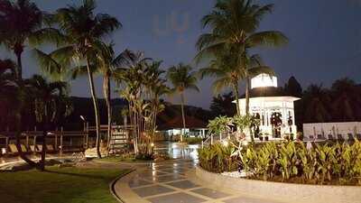 The Saddle Coffee House