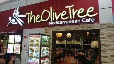 The Olive Tree