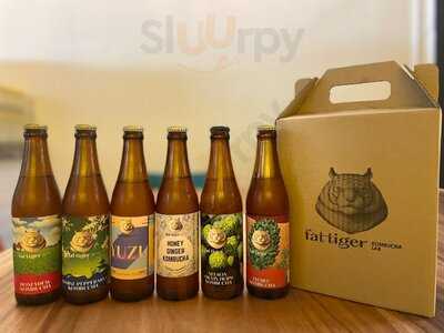 Fat Tiger Kombucha Lab