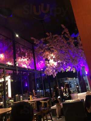 Sakugei Yakitori Rooftop Bar