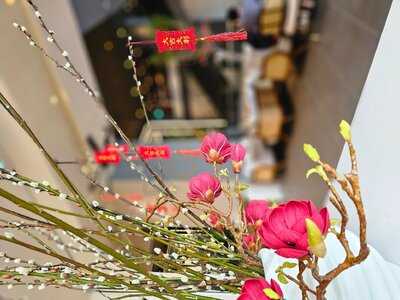 Ayataya By Piccadilly