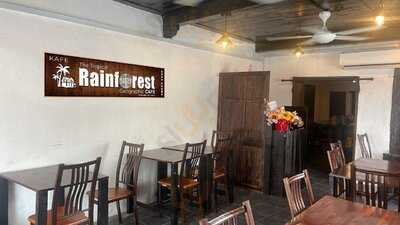 The Tropical Rainforest Geographic Cafe