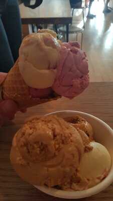 Duck Island Ice Cream