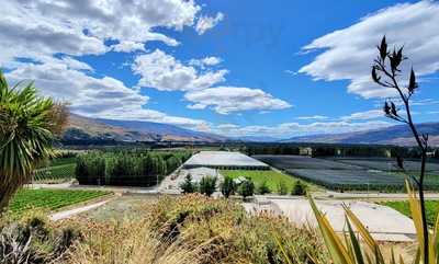 The Winery Restaurant At Mt Difficulty