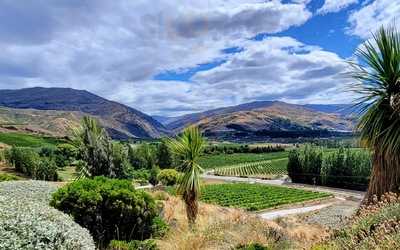 The Winery Restaurant At Mt Difficulty