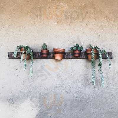 Timbuktu Nomadic Deli