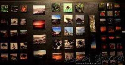 Whanake Gallery & Espresso Bar