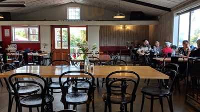 Red Cherry Roasters & Co